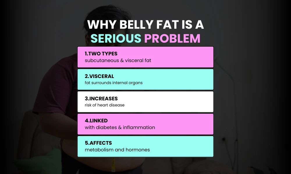Facezem | How to Lose Belly Fat Fast (Science Backed) Understanding the Belly Fat