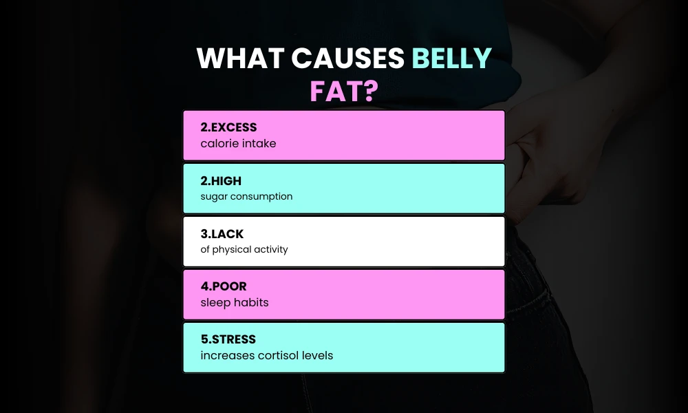 Facezem | How to Lose Belly Fat Fast (Science Backed) What Leads to the Accumulation of Belly Fat?