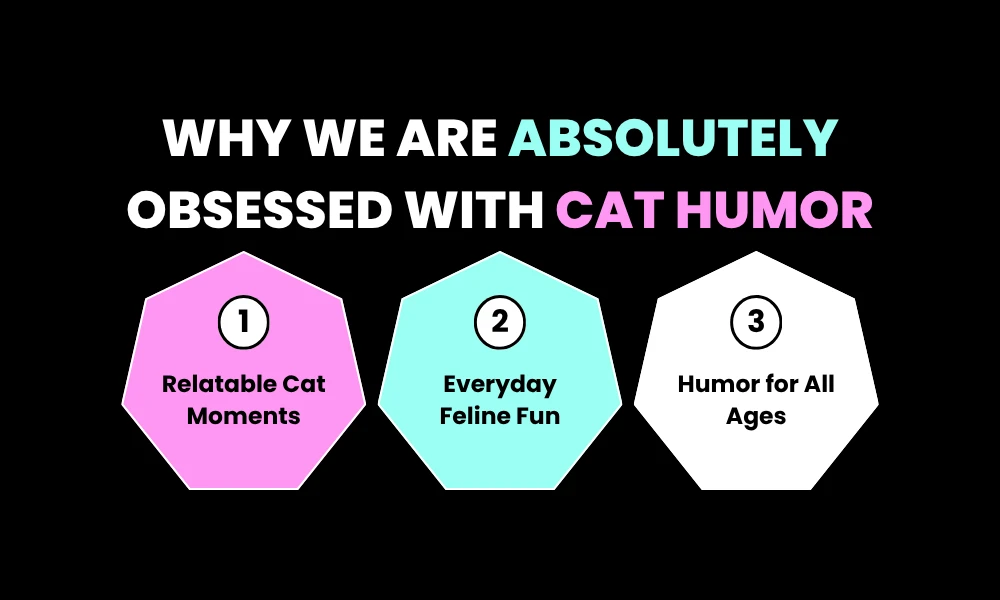 Paw-sitively Hilarious Cat Puns for Daily Life