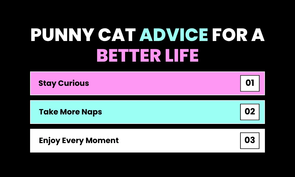 Punny Cat Advice for a Better Life