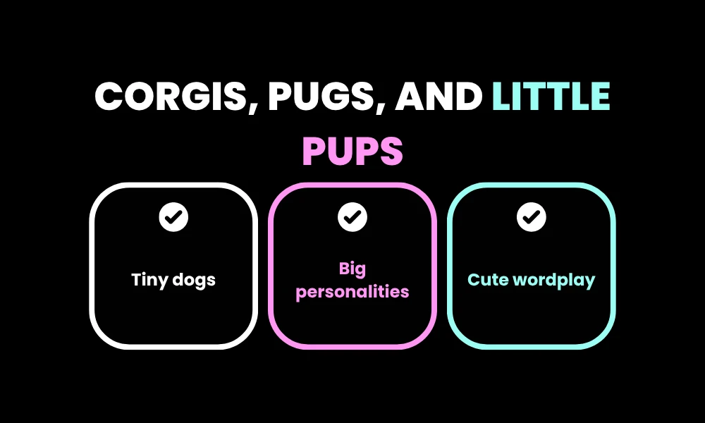 Corgis, Pugs, and Little Pups