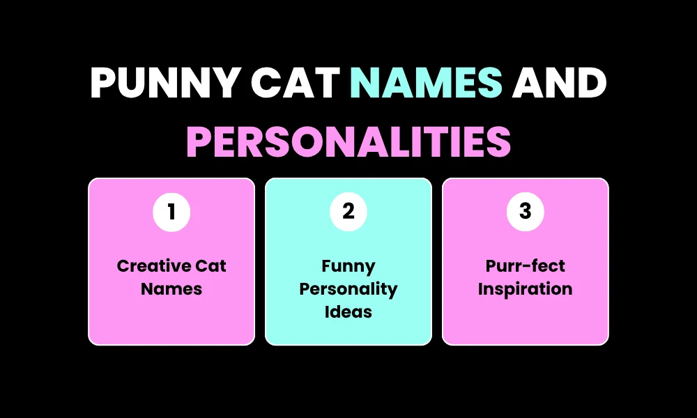 Punny Cat Names and Personalities