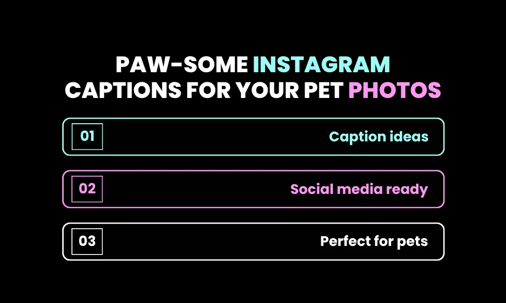 Paw-some Instagram Captions for Your Pet Photos