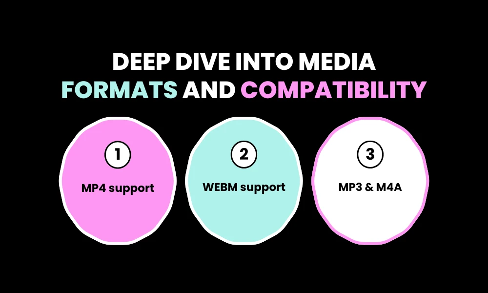 Deep Dive into Media Formats and Compatibility