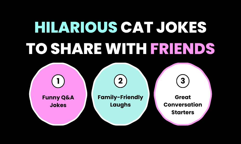 Hilarious Cat Jokes to Share with Friends