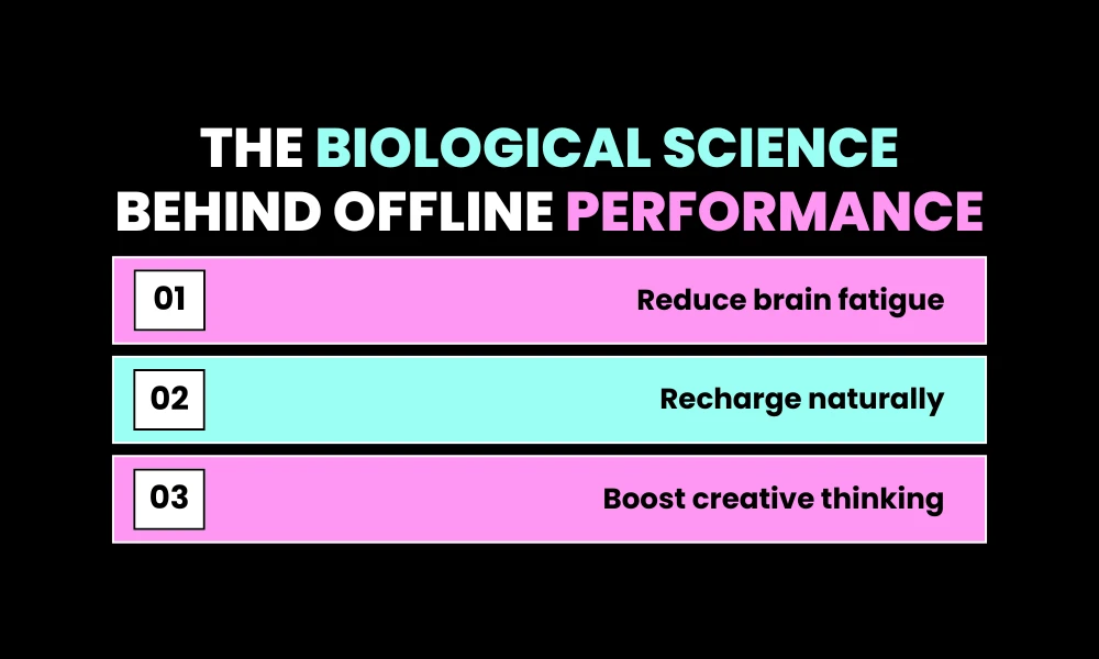 Facezem | Digital Detox and Wealth: Why the Richest People Are Going Offline More The Biological Science Behind Offline Performance