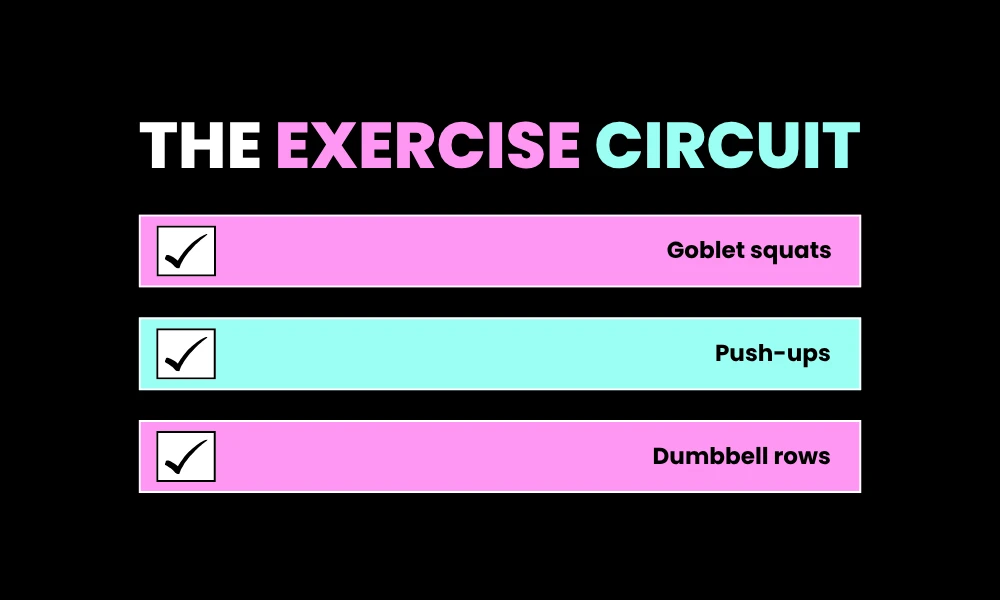 Facezem | The Minimum Effective Workout for Busy People Making Six Figures The Exercise Circuit