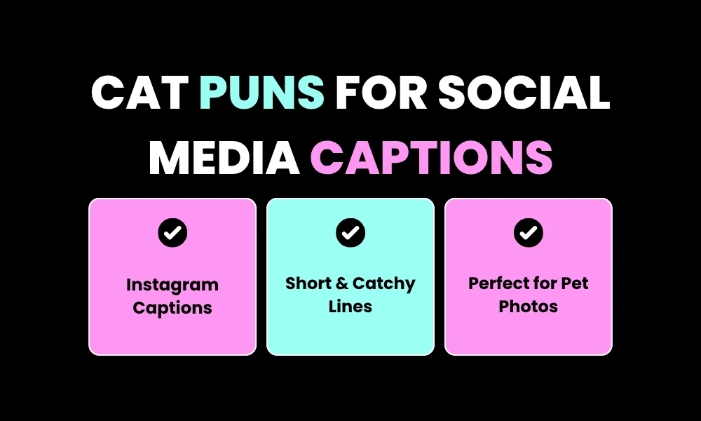Cat Puns for Social Media Captions