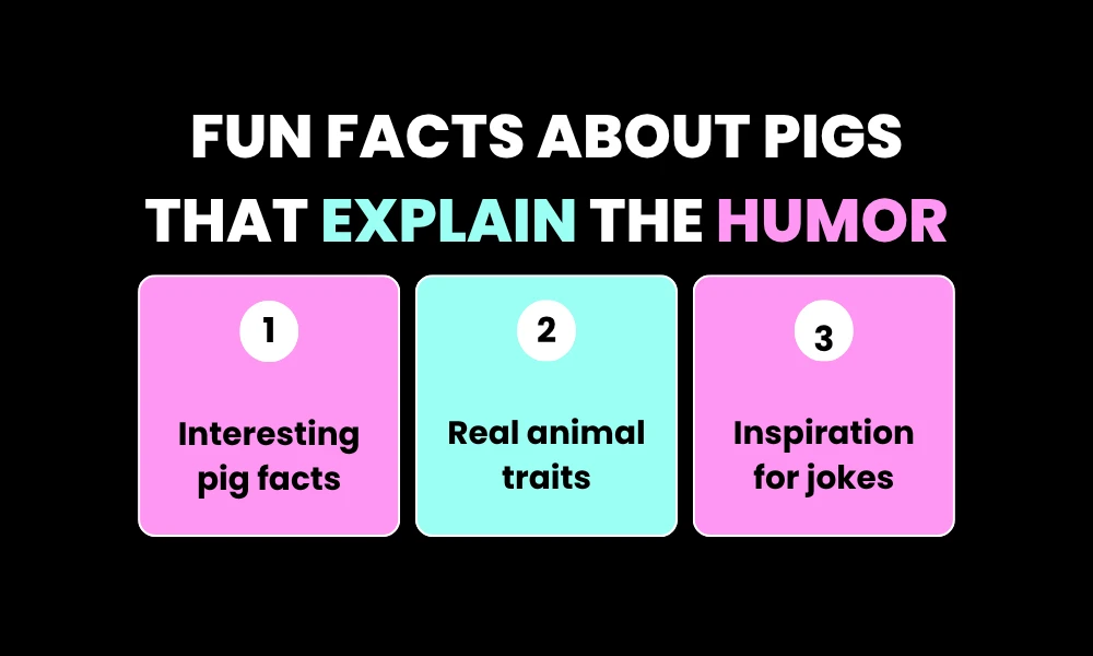 Fun Facts About Pigs That Explain the Humor