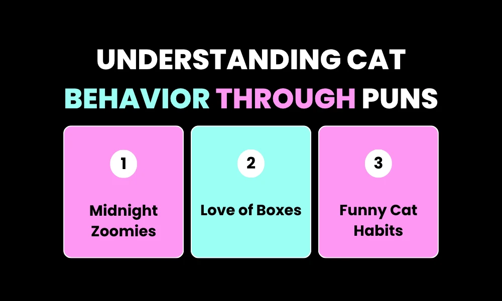 Understanding Cat Behavior Through Puns