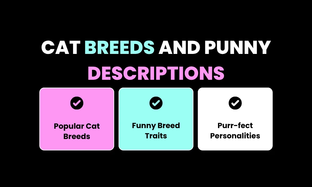 Cat Breeds and Punny Descriptions