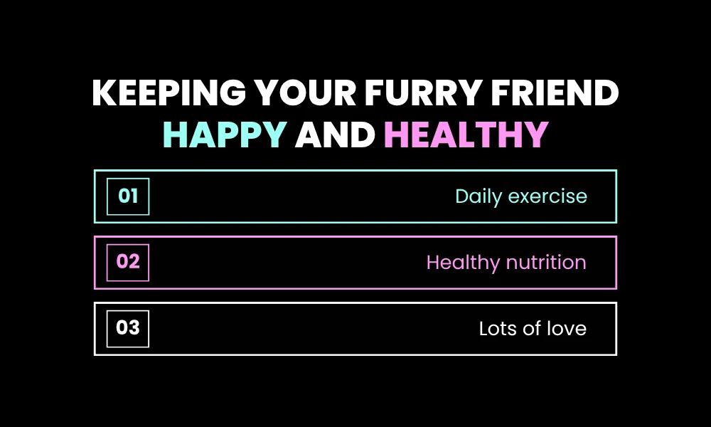 Keeping Your Furry Friend Happy and Healthy