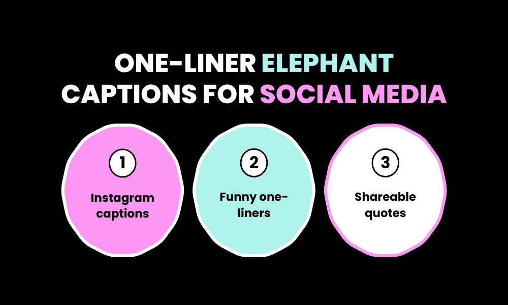 One-Liner Elephant Captions for Social Media