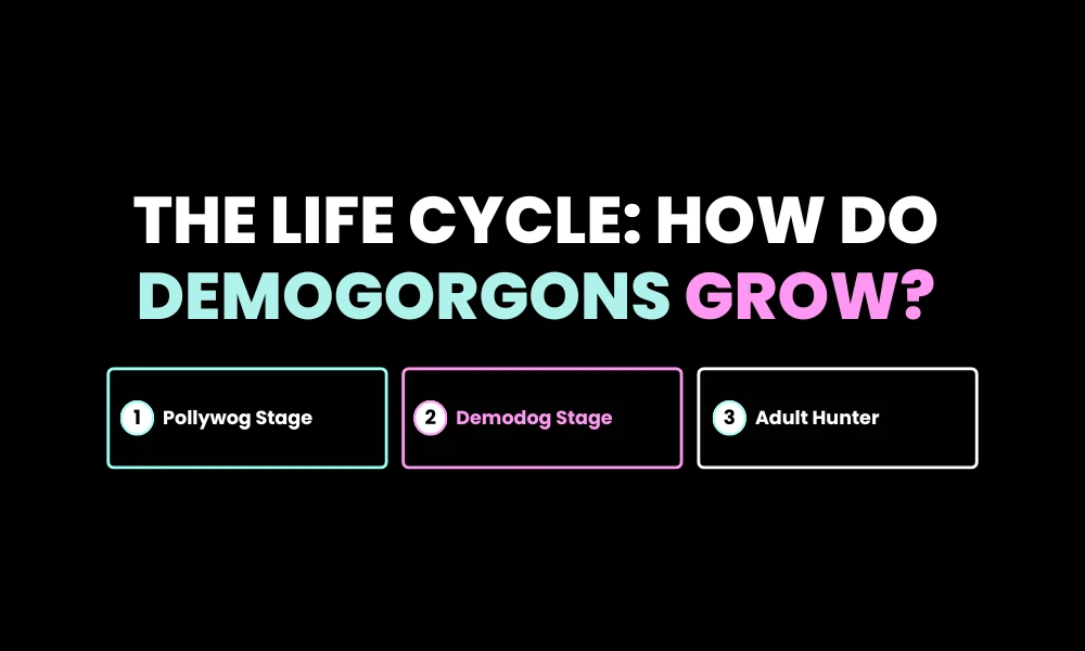 The Life Cycle: How Do Demogorgons Grow?
