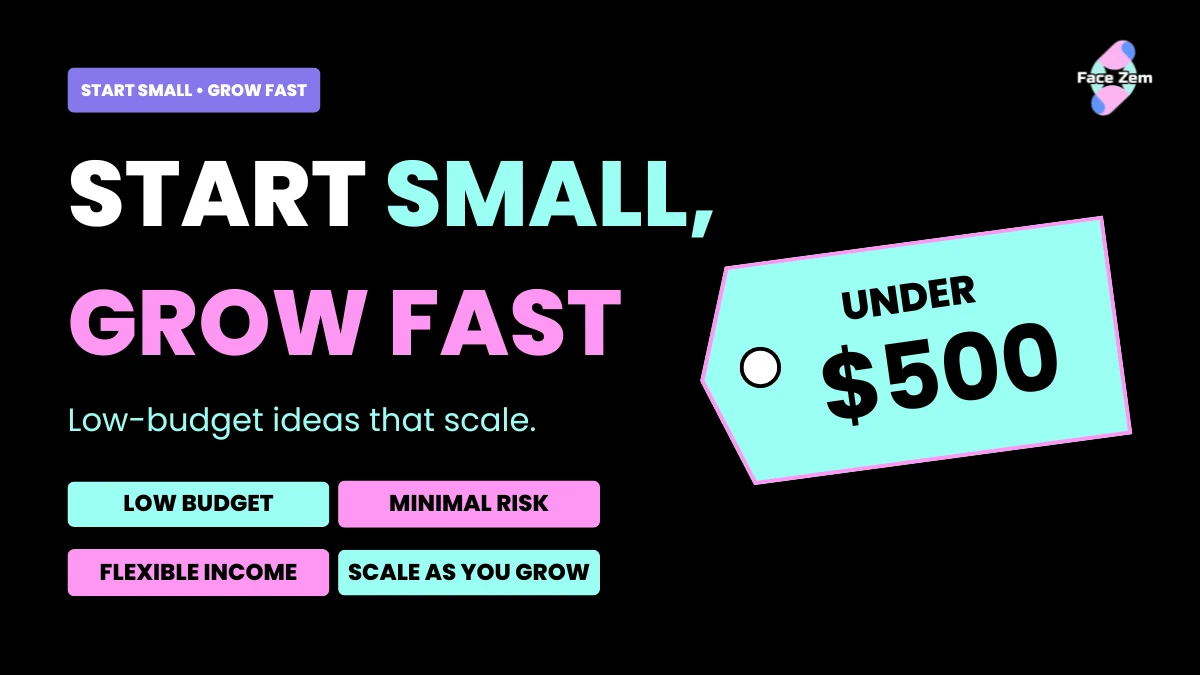 Facezem | 25 Best Business Ideas Under $500 to Start in 2026 for High Profits business ideas under 500 dollars