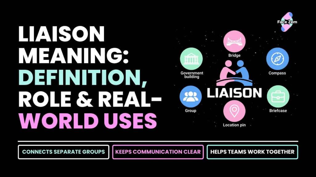Liaison: Meaning, Definition and Common Uses